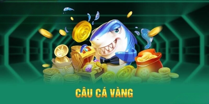 Cách tham gia chinh phục TP Câu Cá Vàng 789bet